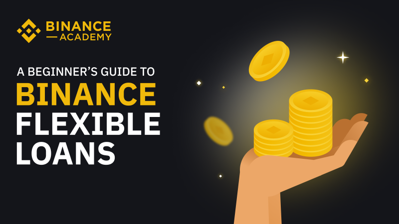 Is Binance Loan Fine?